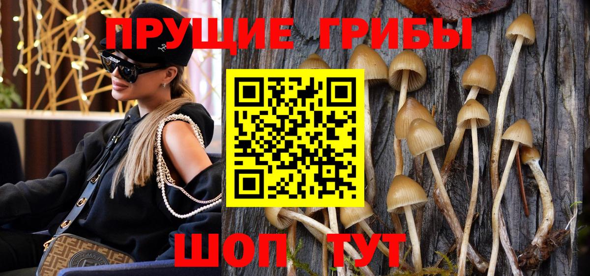 Галлюциногенные грибы GOLDEN TEACHER Заводоуковск